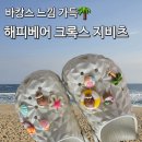 해피베어ㅣ여름 감성 가득한 지비츠로 크록스 꾸미기