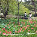 로즈마리펜션 이미지