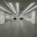 한국체대 국가대표 태권도 이미지