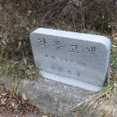 봉은수산 Daum카페
