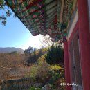 스테이 지천 | 가을 단풍과 함께한 선암사 템플스테이 예약과 여행후기