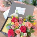 신월동212 이미지