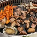 강변오리 이미지