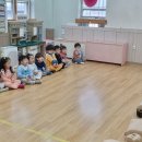 썸머힐어린이집 이미지