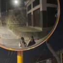 영광여자중학교 | byyourside