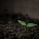 몸사랑마음사랑한의원 이미지