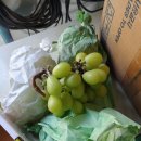 우가농장 이미지