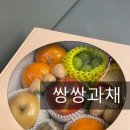 쌍쌍과채