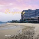 노랑통닭 서천점 | 보령 무창포 해수욕장 앞 비체팰리스 1박 후기