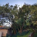 국우경로당 이미지