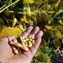 파주통일정보화마을 이미지