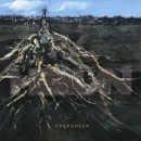 PK헤만 카카오 검색결과