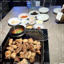 열정돼지 이미지
