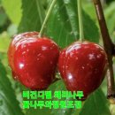 화성-장안-장안 8호 이미지