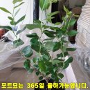 탁근농장 이미지