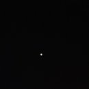 파도대게 이미지