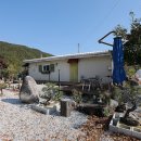 왕피천관광농원 이미지