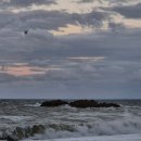 UR(경주시)-[동해안로]-하-4 | 여유란 없는 J의 경주 여행 ①