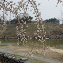 `청도요` 도예가 이형석 작가를 찾아서 이미지