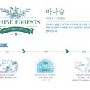 백화 이미지