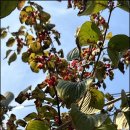 매밑농장 이미지