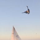 전곡항마리나 이미지