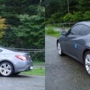 민들레울 이미지