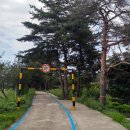 동해안자전거길 이미지