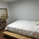 판판포포 이미지