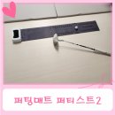 라라골프투어 | 골린이 퍼팅연습을 위한 퍼팅매트 퍼티스트2 고급형 9개월 사용 찐후기