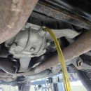 모든오일 이미지