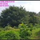 홍성읍 송월리마을회관 이미지