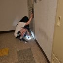 뽑아가으리 | 매일 보통처럼 지낼 수 있기를