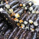 광장91호 이미지