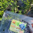 밤나무골 농장 이미지