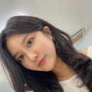드라포레 이미지