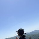 푸르릇 이미지