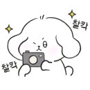 컴포즈커피주안