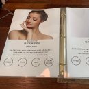일비스파