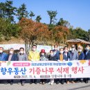 동산제1호 이미지