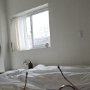 피스오브앙티브 이미지