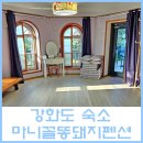 [강화도 숙소] 강화도 수영장있는 펜션 마니꼴똥돼지펜션 솔직후기