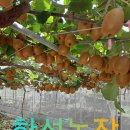 한성농장 이미지