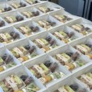 덤피(Dumpy) 이미지