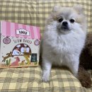 주식회사 드림펫푸드 | [강아지사료추천] 마약스콘사료 아이누 슬로우 베이크드 연어 사료활용법