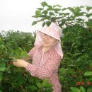 동서농장 이미지