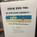 보현산 전망대카페 이미지