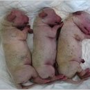 (주)종초원 이미지