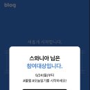 어레인지먼트 이미지