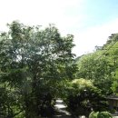 약수하나약국 이미지